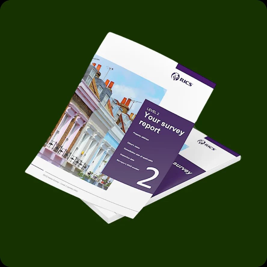 RICS Level 2 - HomeBuyer Survey report template