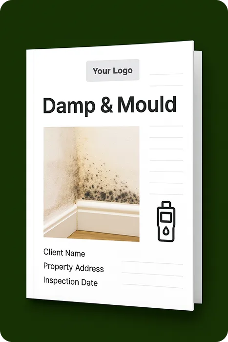 Damp & Mould report template